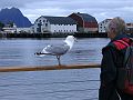 Nordkap 2009 361
